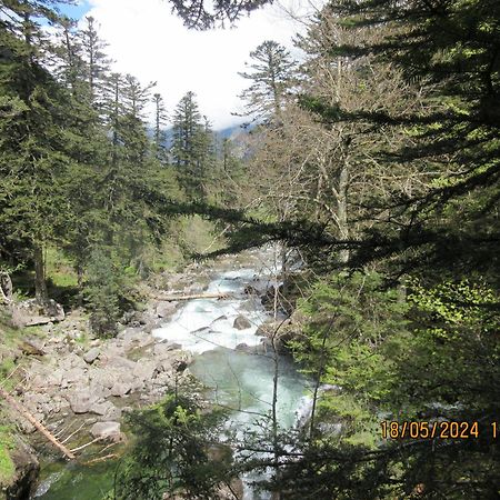 Studio Cerisema Pyrenees Zenith Luz-Saint-Sauveur Eksteriør bilde